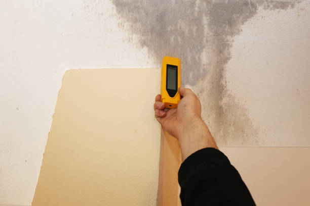 Best Emergency Mold Remediation  in Red Bluff, CA