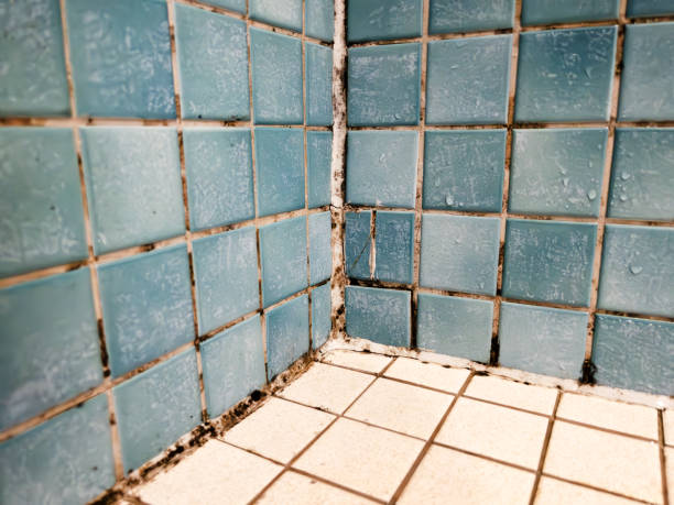 Best Mold Odor Removal Services  in Red Bluff, CA