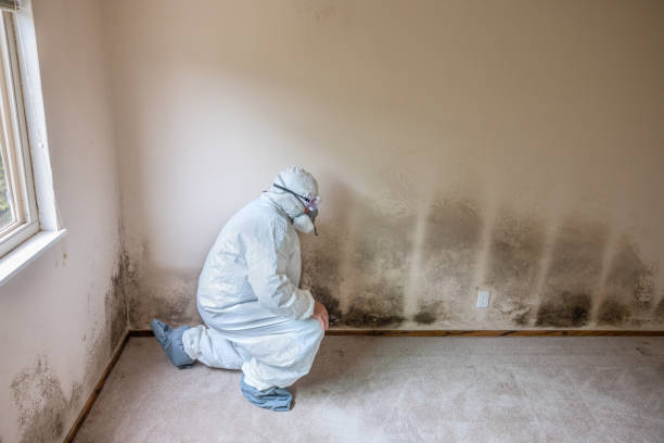 Best Mold Removal for HVAC Installations  in Red Bluff, CA