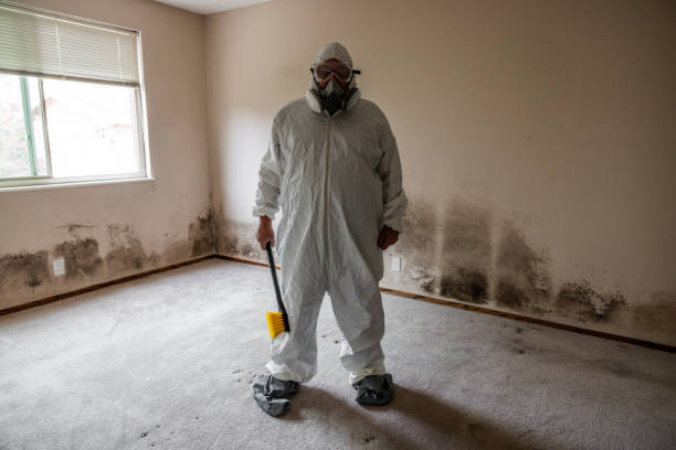 Best Dehumidification Services  in Red Bluff, CA