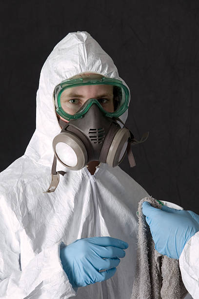 Red Bluff, CA Mold Removal Company