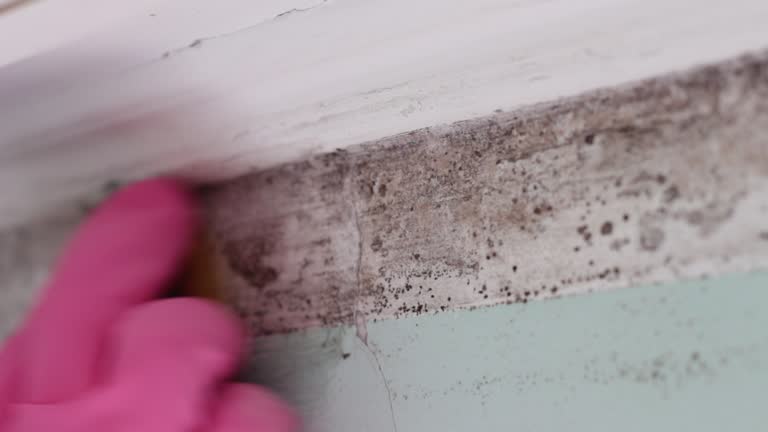 Best Post-Remediation Verification Testing  in Red Bluff, CA
